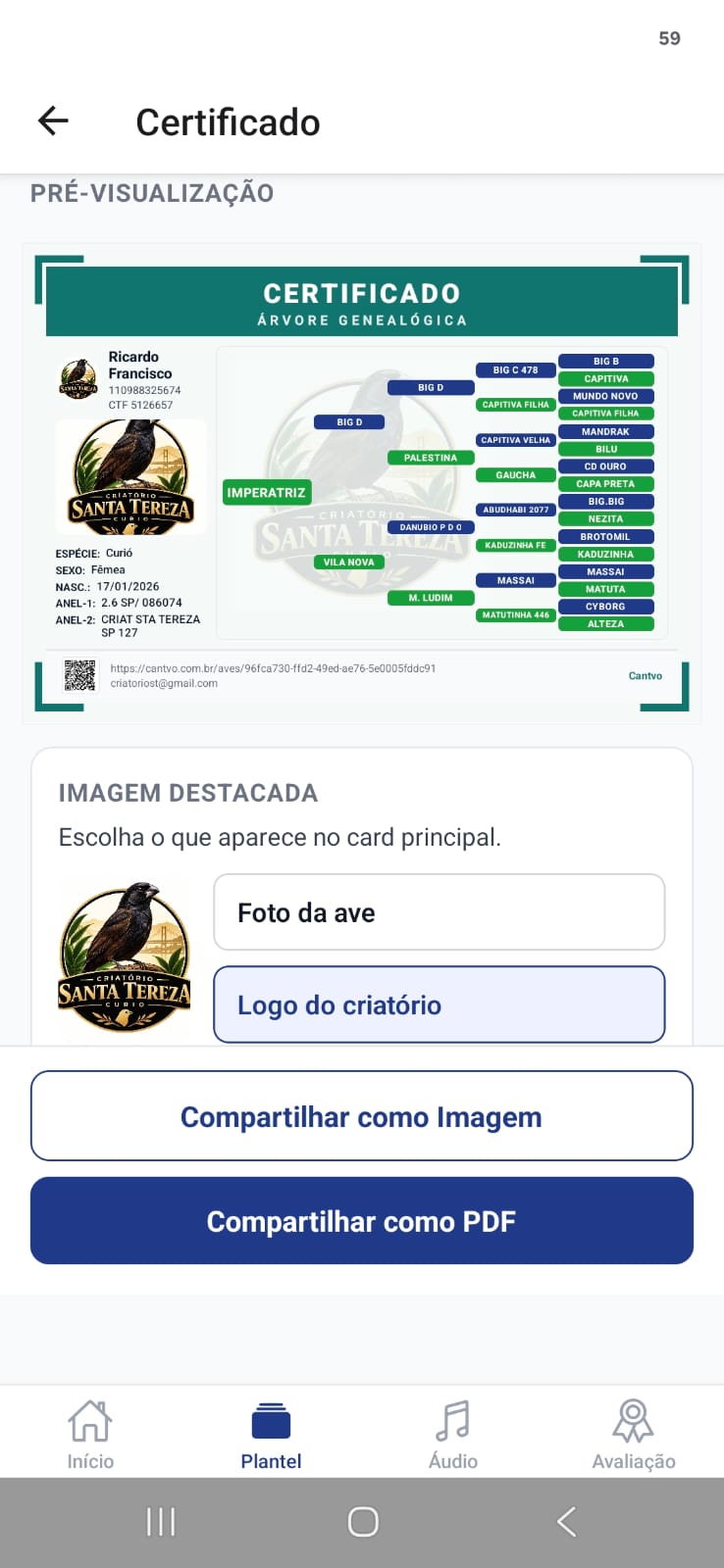 Certificado genealógico